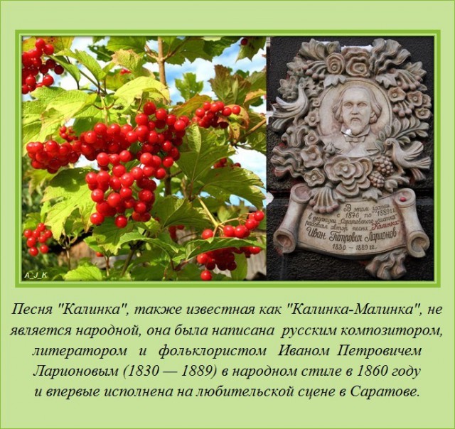 Интересно обо всём (19 фото)