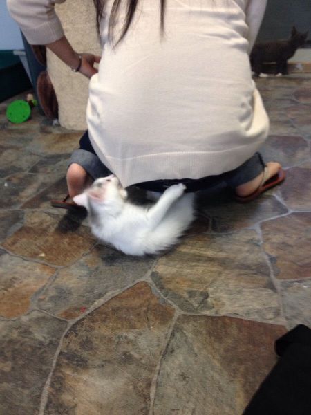 Прикольные картинки (91 фото)