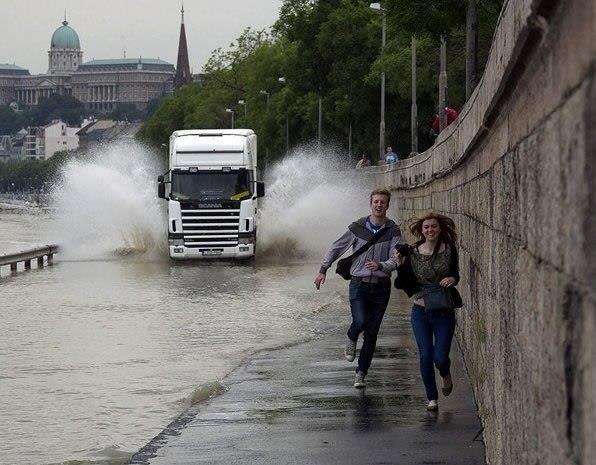 Прикольные картинки (91 фото)