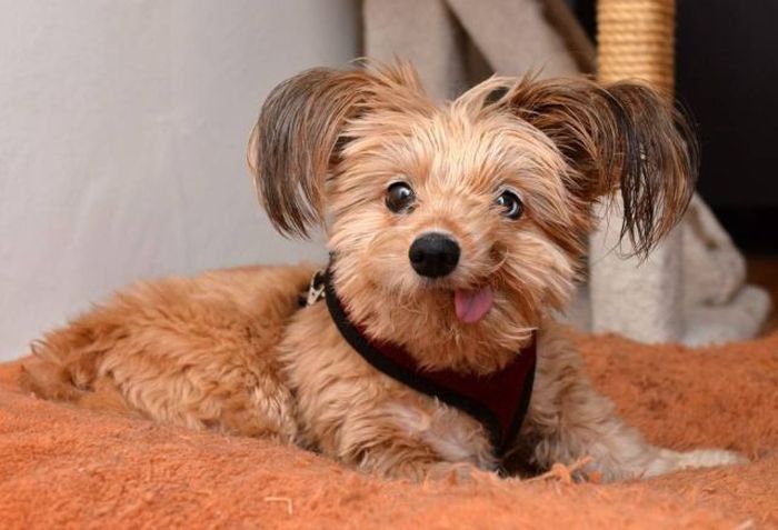 Прикольные картинки (91 фото)