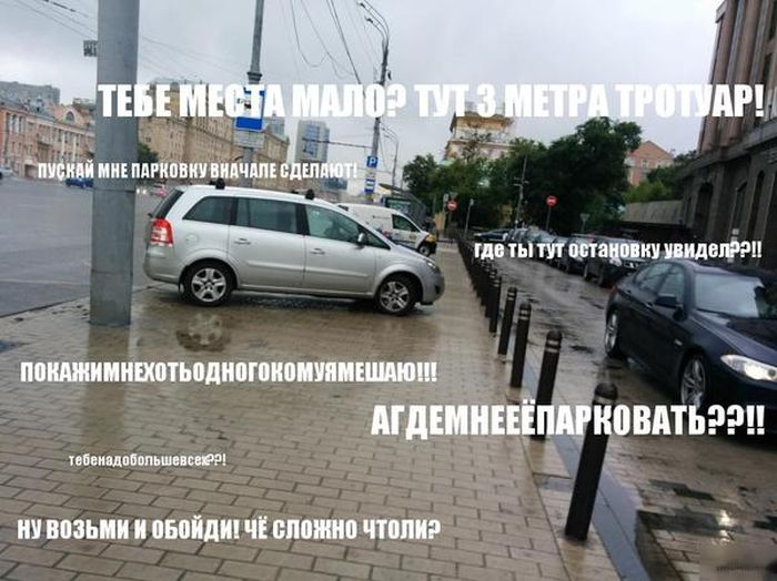 Прикольные картинки (91 фото)