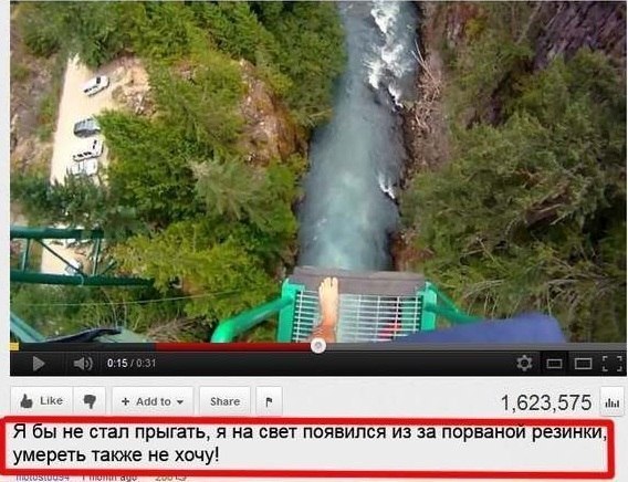 Прикольные картинки (91 фото)