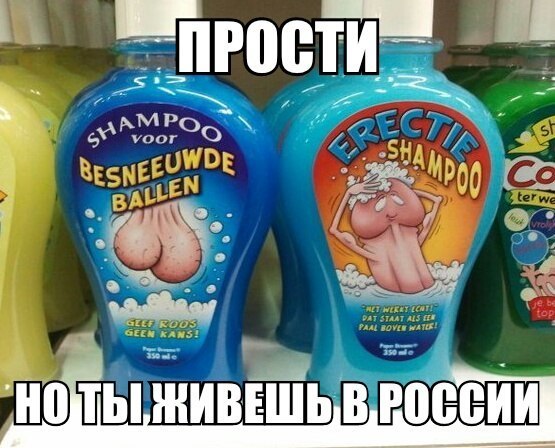 Прикольные картинки (91 фото)