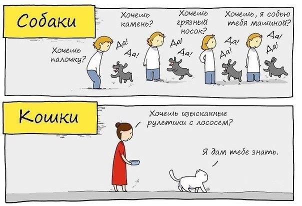 Прикольные картинки (91 фото)