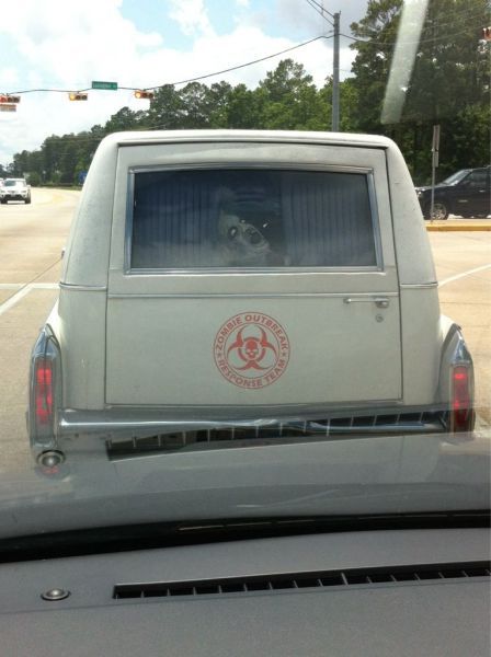 Прикольные картинки (91 фото)