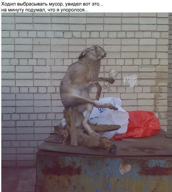 Прикольные картинки (91 фото)