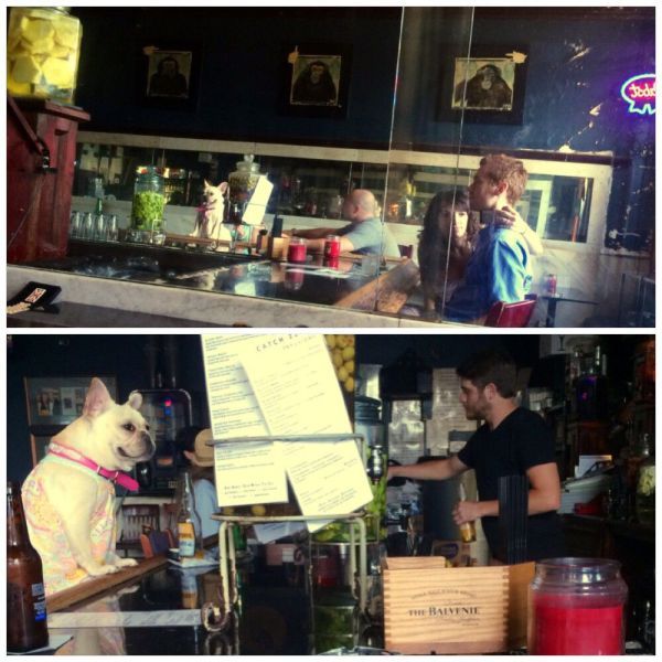 Прикольные картинки (91 фото)