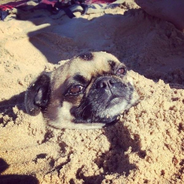 Прикольные картинки (91 фото)