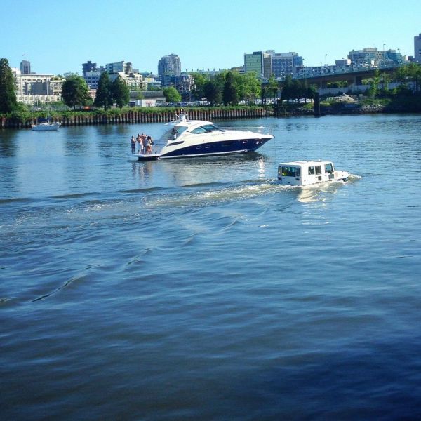 Прикольные картинки (91 фото)