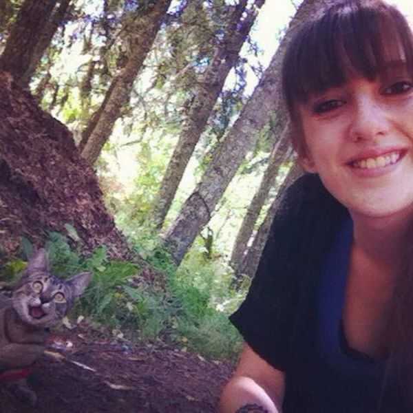 Прикольные картинки (91 фото)