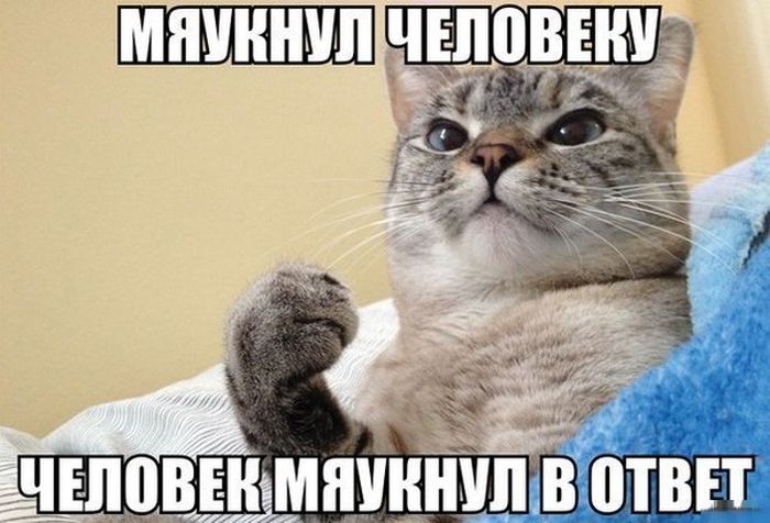 Прикольные картинки (91 фото)