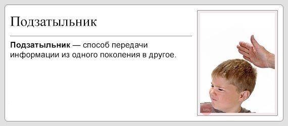 Забавные картинки