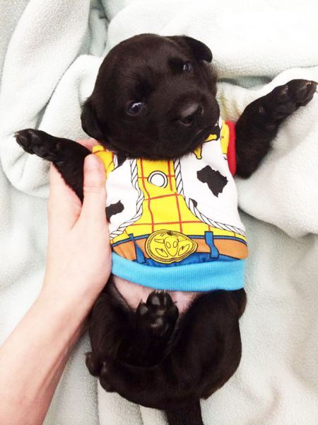 Прикольные картинки (91 фото)