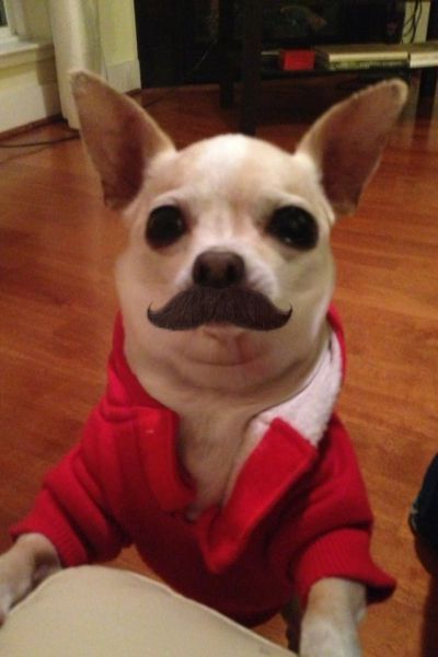 Прикольные картинки (91 фото)