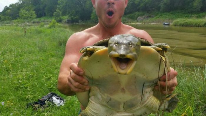 Прикольные картинки (91 фото)