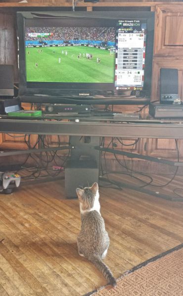 Прикольные картинки (91 фото)