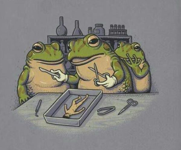 Прикольные картинки (91 фото)