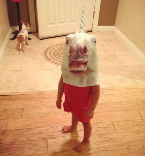 Прикольные картинки (91 фото)