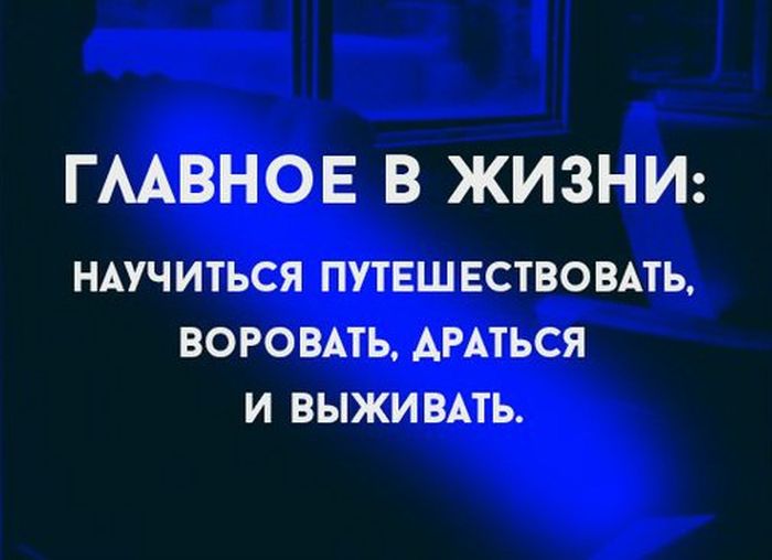 Прикольные картинки (91 фото)