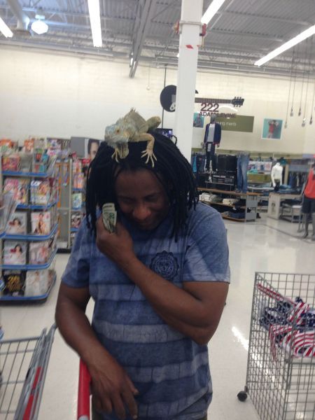 Прикольные картинки (91 фото)