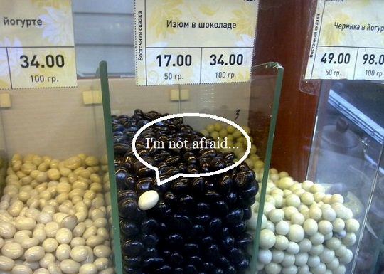 Прикольные картинки (91 фото)