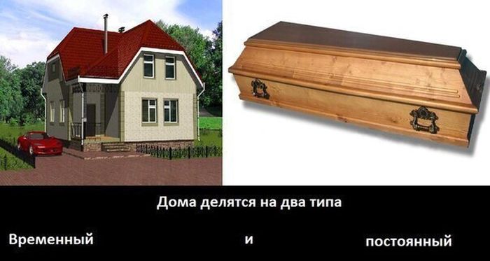 Прикольные картинки (91 фото)