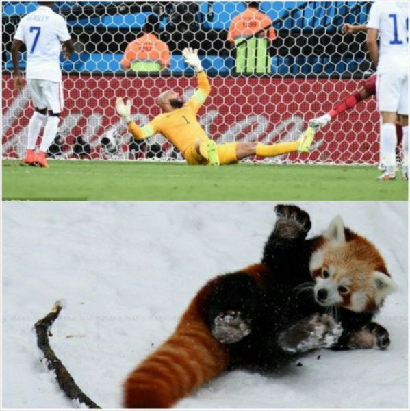 Прикольные картинки (91 фото)