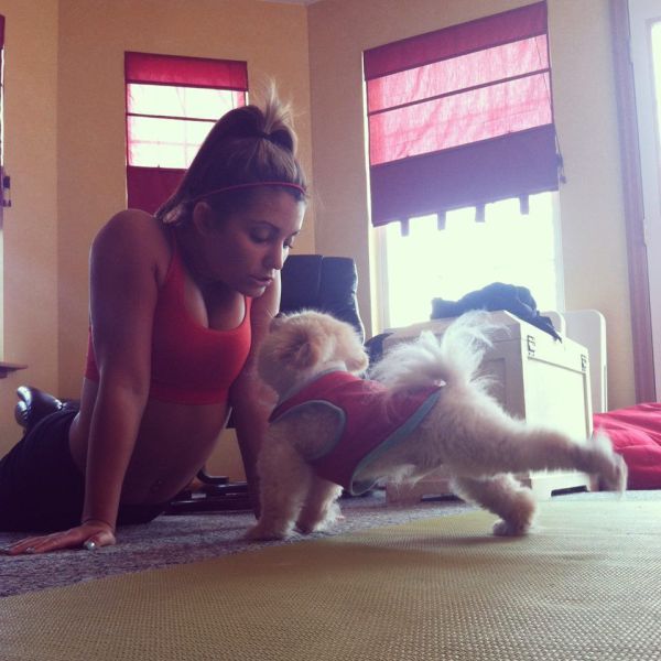 Прикольные картинки (91 фото)