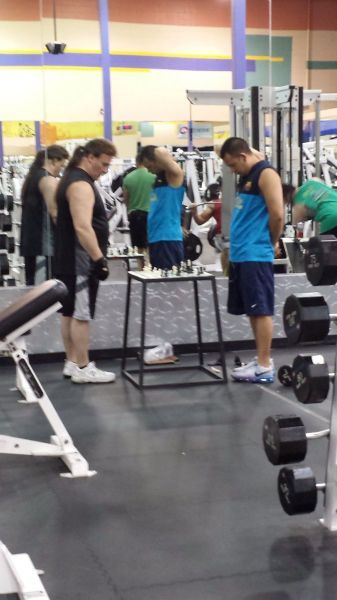 Прикольные картинки (91 фото)