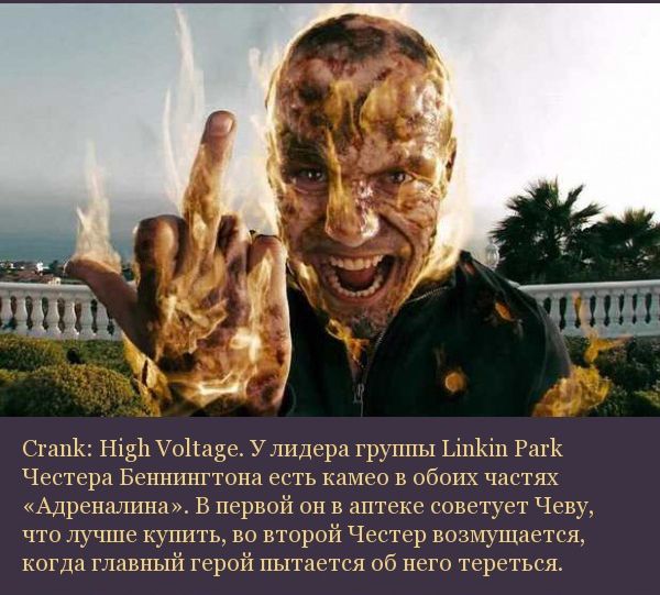 Подборка кинофактов