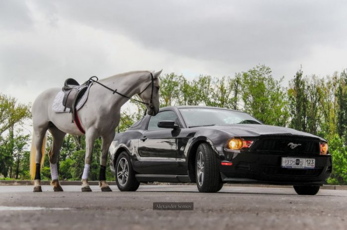 Автоприколы (25 фото)