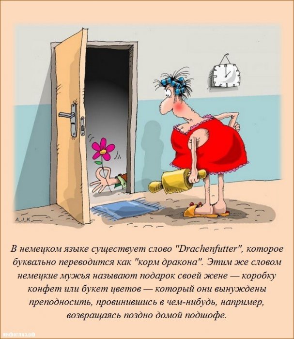 Интересно обо всём (25 фото)