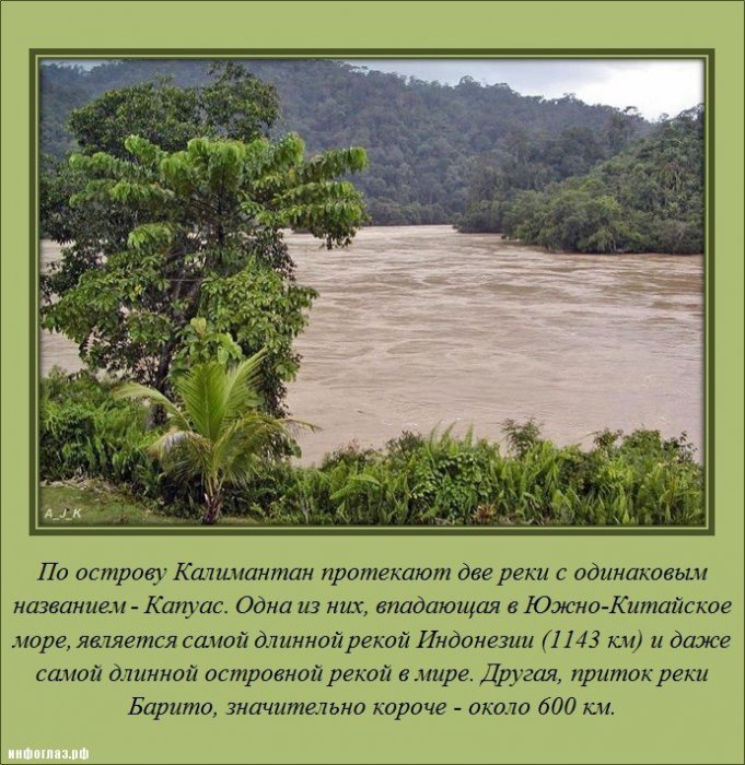 Интересно обо всём (25 фото)