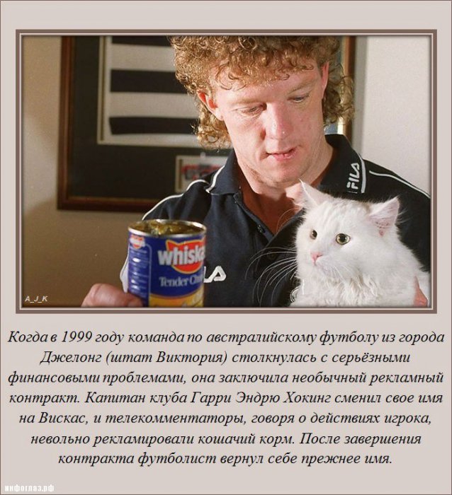 Интересно обо всём (25 фото)