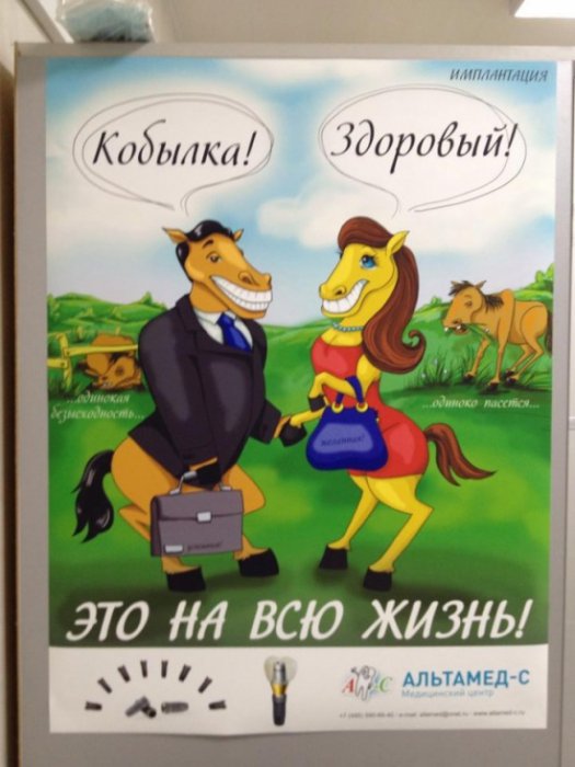 Забавные надписи и объявления (23 фото)