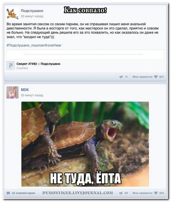 Смешные комментарии из социальных сетей (40 фото)