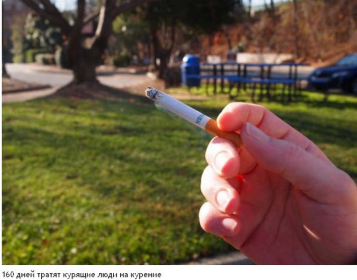 На что мы тратим жизнь (23 фото)