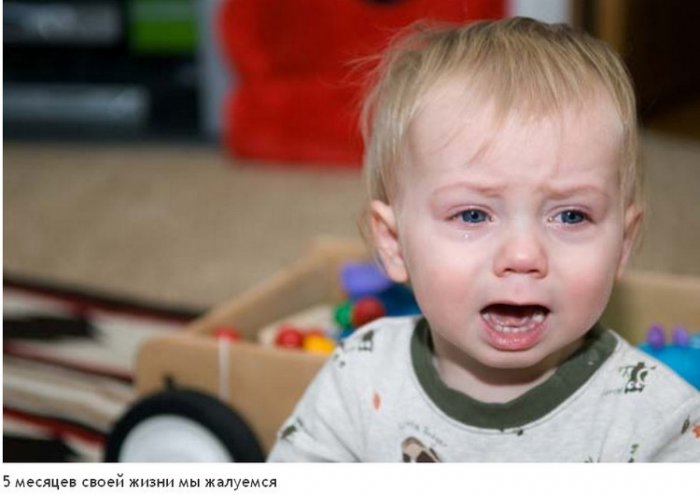 На что мы тратим жизнь (23 фото)