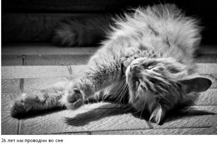 На что мы тратим жизнь (23 фото)