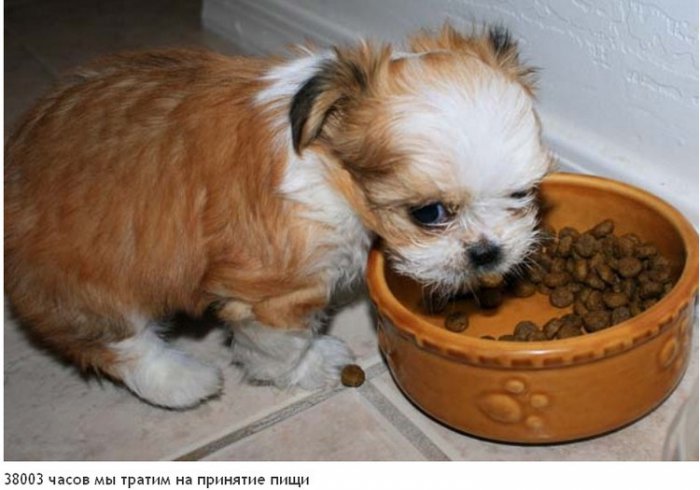 На что мы тратим жизнь (23 фото)