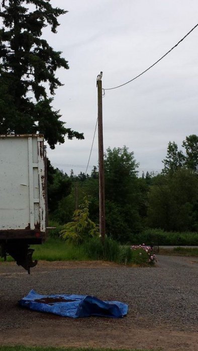 Прикольные картинки (50 фото)