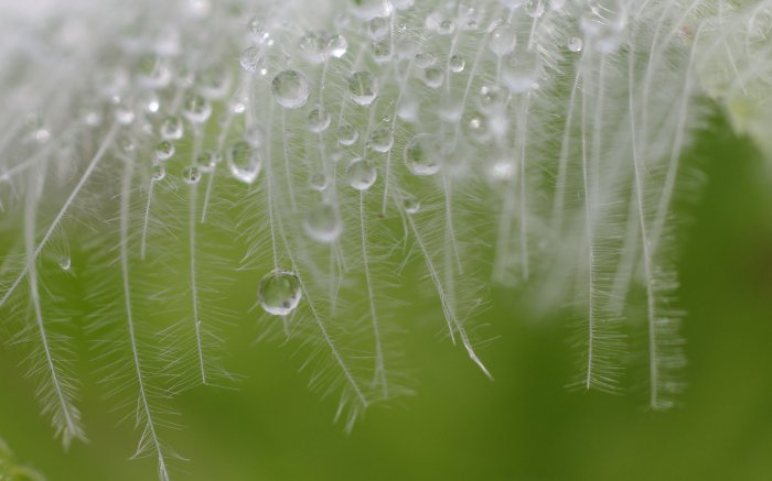 Обои на рабочий стол / Sbornik oboev 327