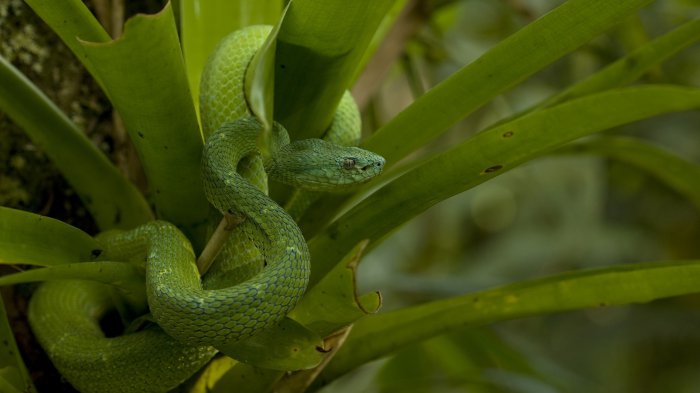 Обои на рабочий стол / Sbornik oboev 327