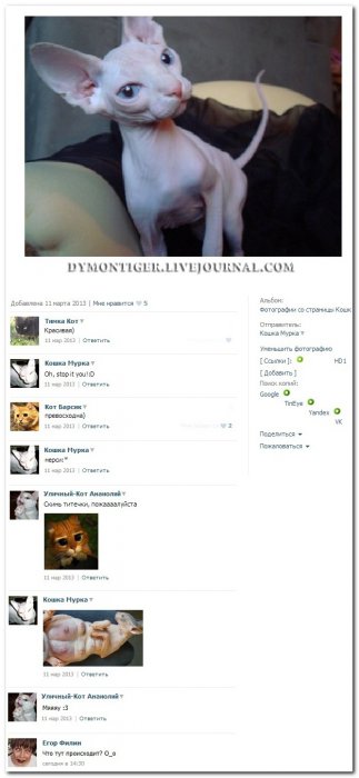 Смешные комментарии из социальных сетей (40 фото)