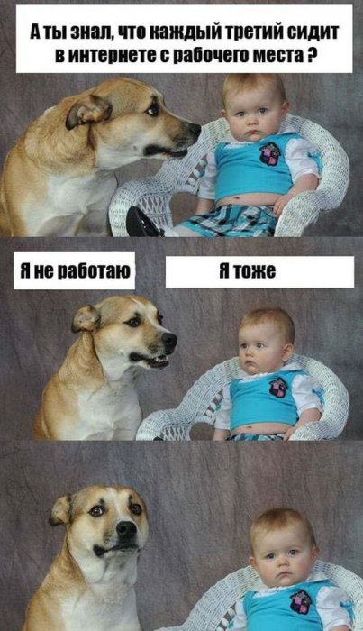 Немного юмора (60 фото)