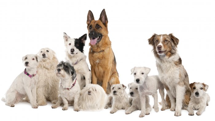 Обои на рабочий стол / Sbornik oboev 329