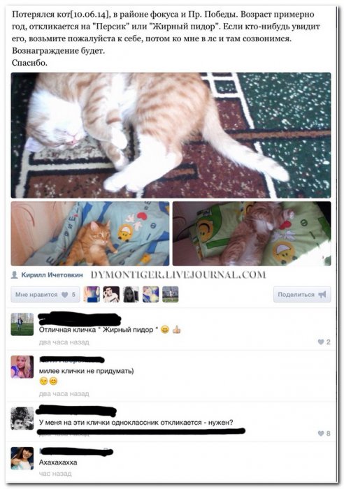 Смешные комментарии из социальных сетей (40 фото)