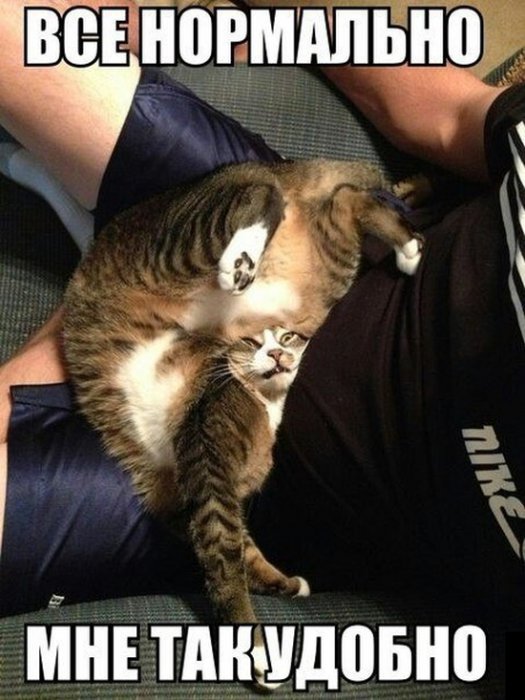 Прикольные картинки (108 фото)