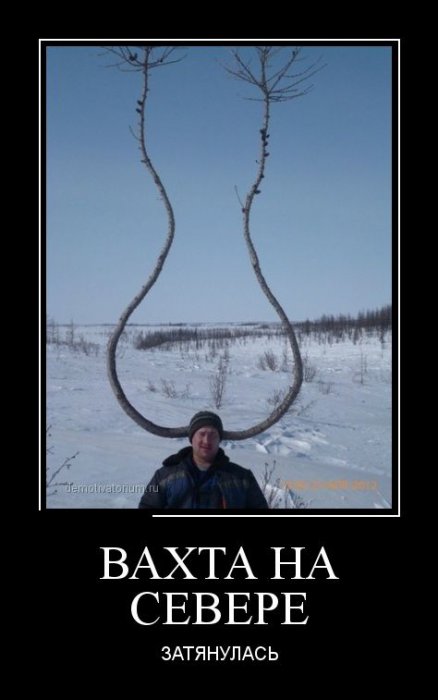 Демотиваторы (30 фото)