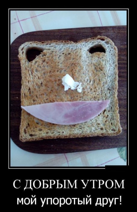 Демотиваторы (30 фото)